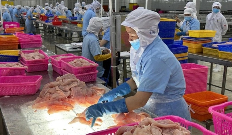 “Hidden currents” from US market challenge Vietnam’s seafood sector